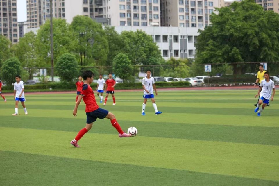 了新动力