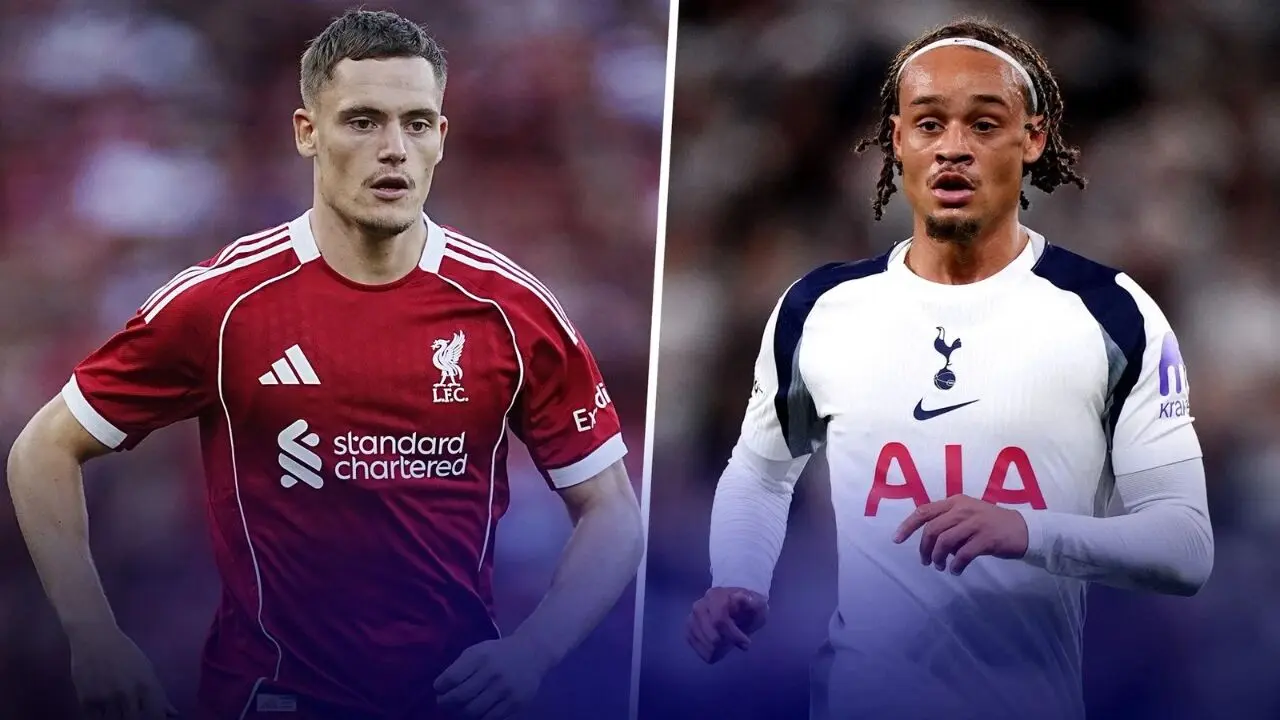 非常出色的 非常出色的