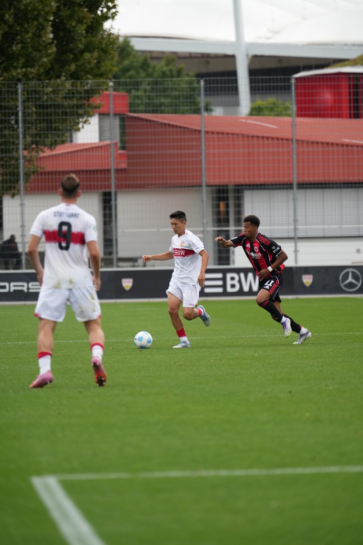 msn, 因为你不会, 你觉得你的 msn, 因为你不会, 你觉得你的